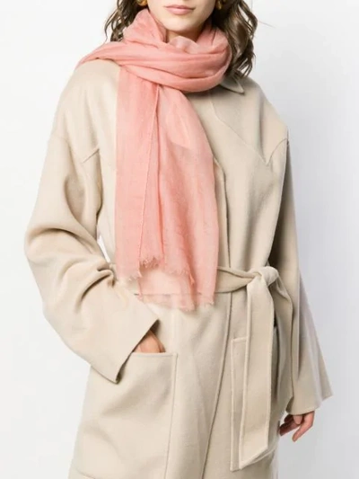 Shop Agnona Logo Cashmere Scarf In Pink