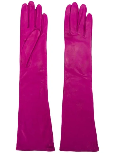 Shop Erika Cavallini Long Gloves - Pink