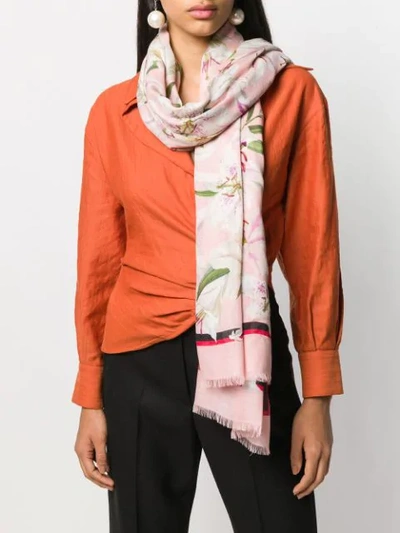 Shop Dolce & Gabbana Floral Lightweight Scarf In Pink