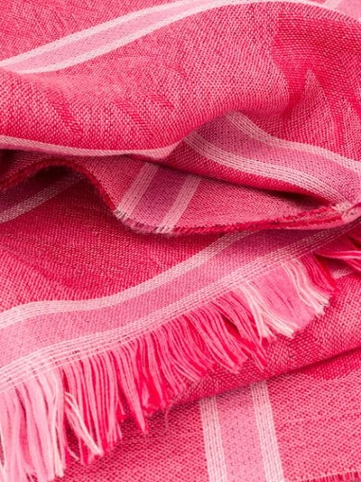 Shop Mcq By Alexander Mcqueen Swallow Checked Scarf In Pink