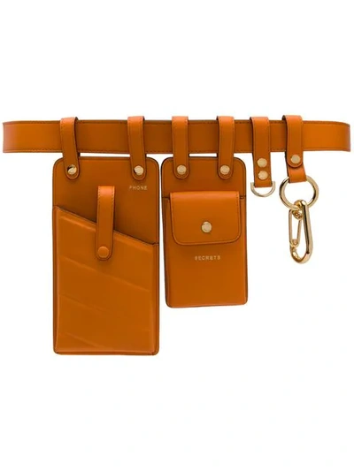 Shop Fendi Multipurpose Utility Belt In Orange