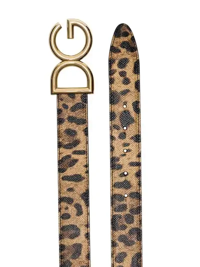 Shop Dolce & Gabbana Leopard Print Dg Logo Belt In Brown