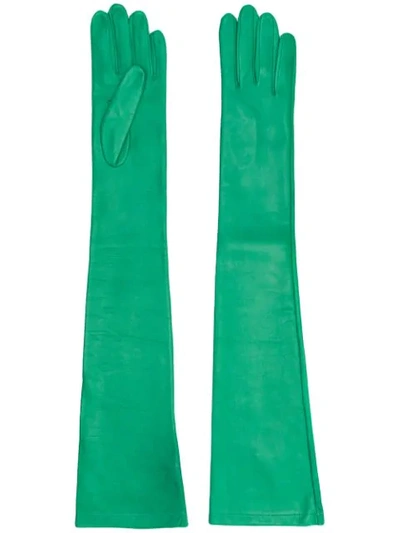 Shop N°21 Nº21 Elbow Length Gloves - Green