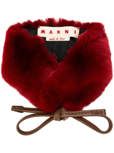 Shop Marni Fur Collar In Red