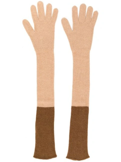 Shop Agnona Cashmere Long Gloves In N40 Brown