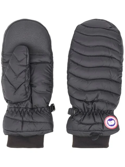 Shop Canada Goose Arctic Down Gloves - Black