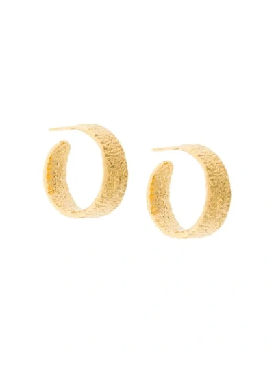 Shop Lucy Folk Anchovy Hoop Earrings - Metallic