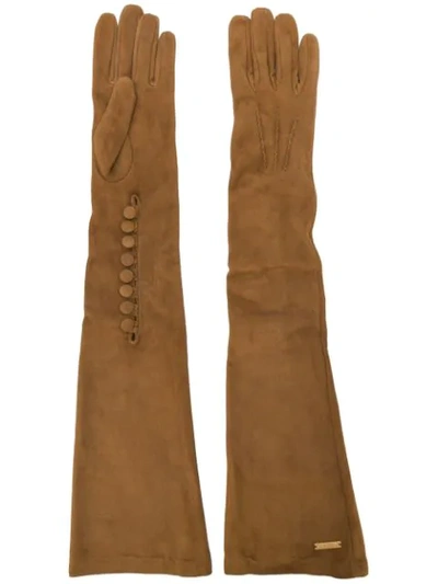 Shop Dsquared2 Goat Skin Long Gloves In Brown