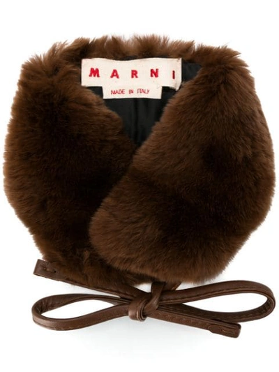 Shop Marni Fur Collar In Brown