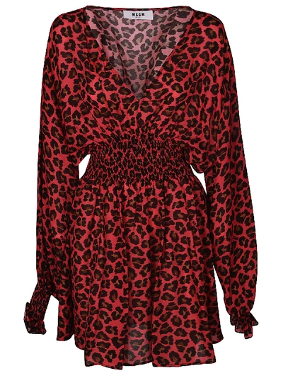 Shop Msgm Leopard Print Dress