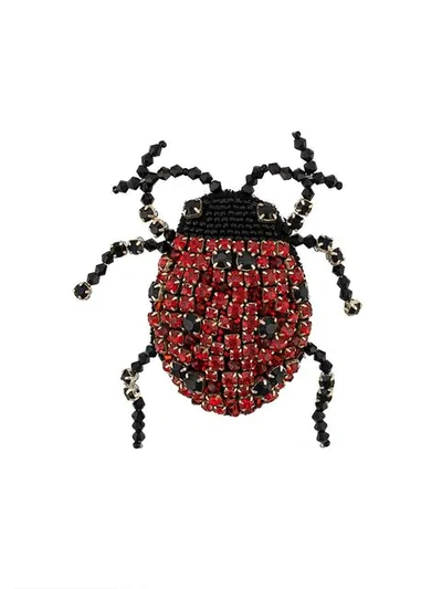 Shop Rochas Ladybug Brooch In Red