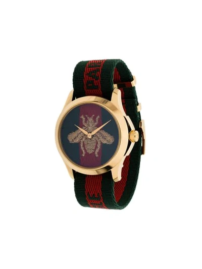 Shop Gucci Striped Bee Watch In Green