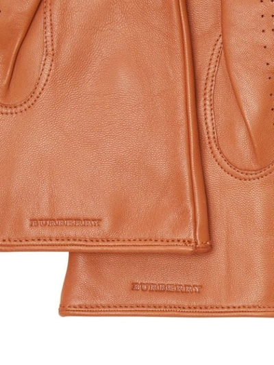 Shop Burberry Cashmere-lined Lambskin Gloves - Brown