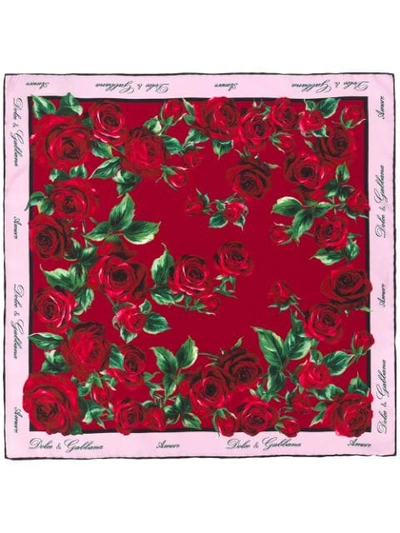 Shop Dolce & Gabbana Rose Print Scarf In Red