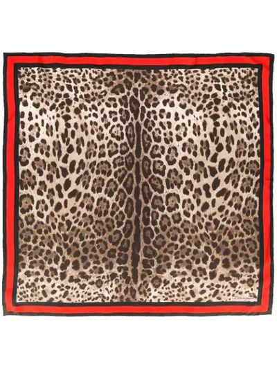 Shop Dolce & Gabbana Framed Neck Scarf In Brown