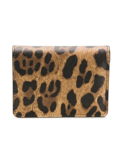 Shop Dolce & Gabbana Rose Appliqué Wallet In Brown