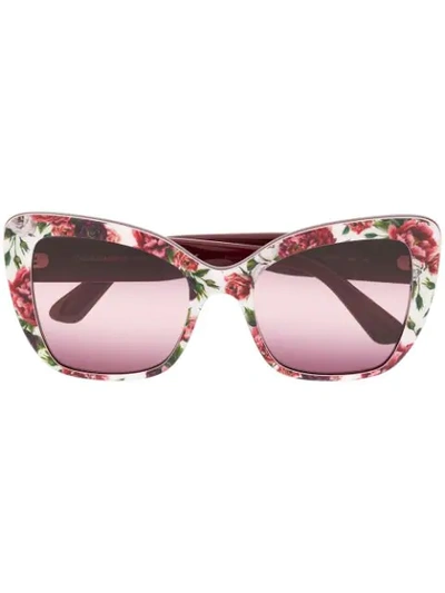 Shop Dolce & Gabbana Rose Print Sunglasses In White
