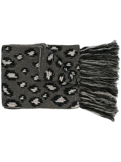 Shop Alanui Leopard Intarsia Scarf In Black