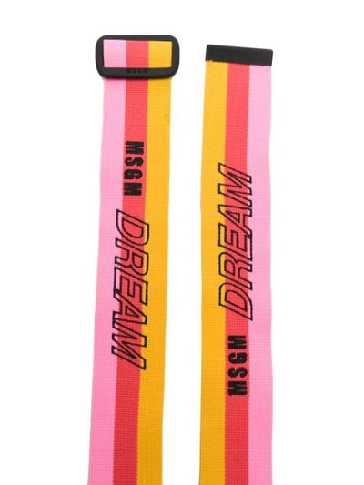 Shop Msgm Striped Logo Belt In Pink