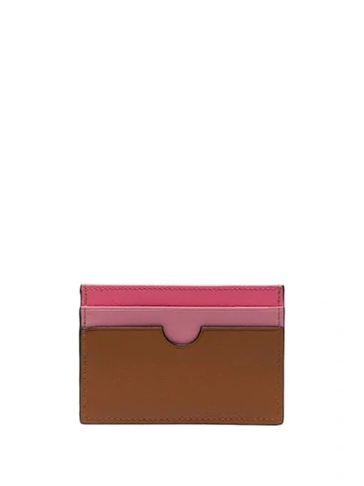 Shop Loewe Rainbow And Tan Leather Cardholder In Neutrals
