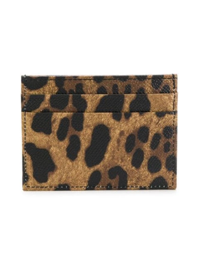 Shop Dolce & Gabbana Rose Appliqué Cardholder In Brown