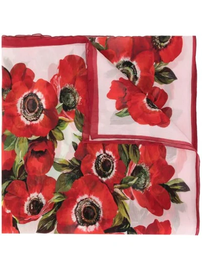 Shop Dolce & Gabbana Floral Embroidered Scarf In Red