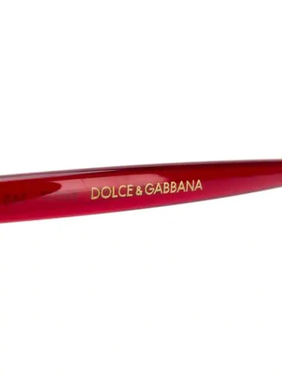 Shop Dolce & Gabbana Cat In Red