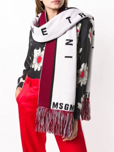 Shop Msgm Mixed Media Star Scarf In White