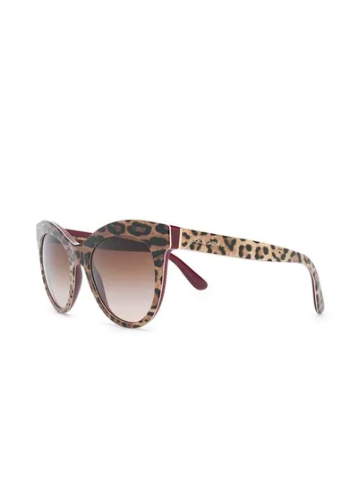 Shop Dolce & Gabbana Leopard Print Cat-eye Sunglasses In Neutrals