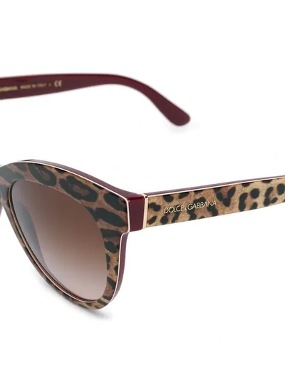 Shop Dolce & Gabbana Leopard Print Cat-eye Sunglasses In Neutrals