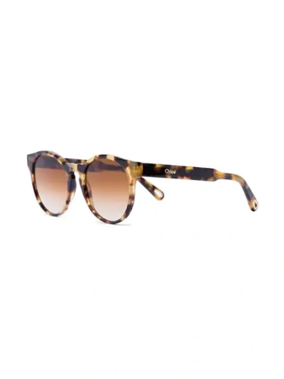 Shop Chloé Willow Pantos-frame Sunglasses In Brown