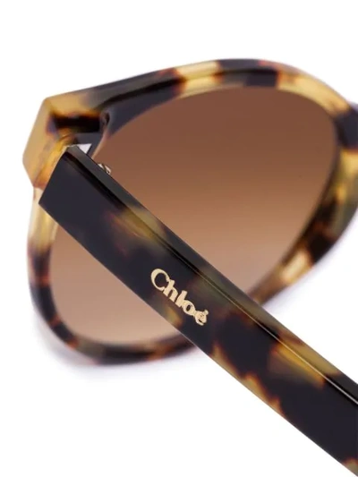 Shop Chloé Willow Pantos-frame Sunglasses In Brown