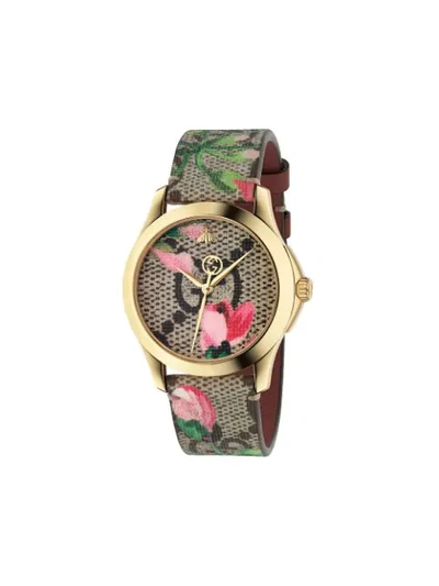 Shop Gucci G-timeless 38mm Watch In Neutrals