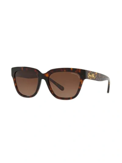 Shop Coach Horse & Carriage Sunglasses In Brown