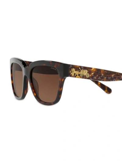 Shop Coach Horse & Carriage Sunglasses In Brown