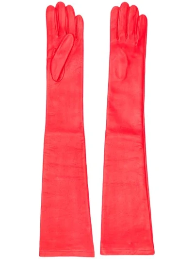 Shop N°21 Long Gloves In Red