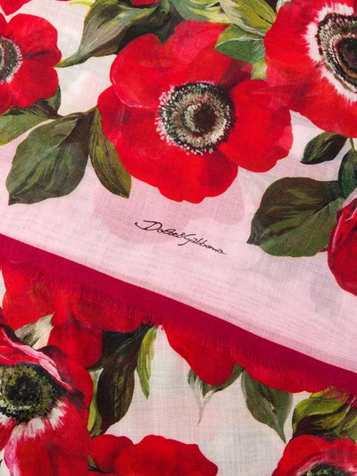 Shop Dolce & Gabbana Anemone Print Scarf In Red