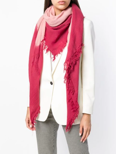 Shop Antonelli Fernanda Two-tone Scarf - Pink