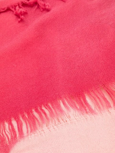 Shop Antonelli Fernanda Two-tone Scarf - Pink