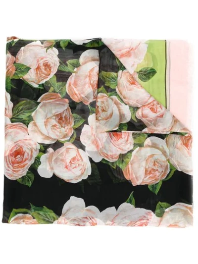 Shop Dolce & Gabbana Rose Print Scarf In Hnt67  Rose Fondo Nero