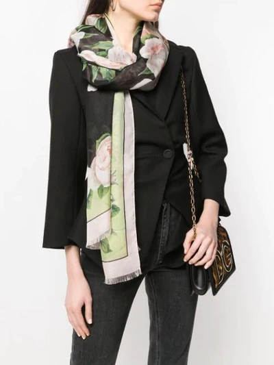 Shop Dolce & Gabbana Rose Print Scarf In Hnt67  Rose Fondo Nero