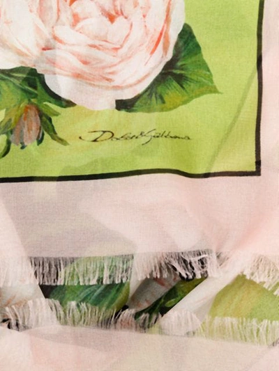 Shop Dolce & Gabbana Rose Print Scarf In Hnt67  Rose Fondo Nero