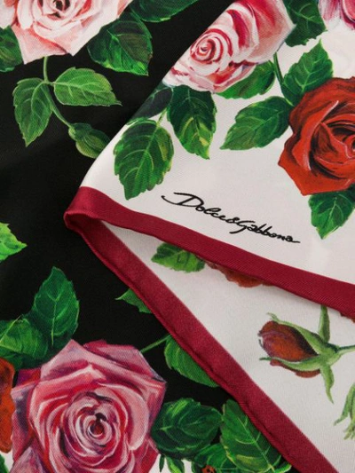 Shop Dolce & Gabbana Rose Print Scarf - Pink