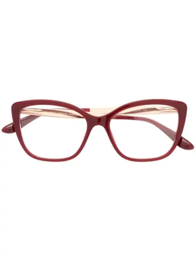 Shop Dolce & Gabbana Cat In Red