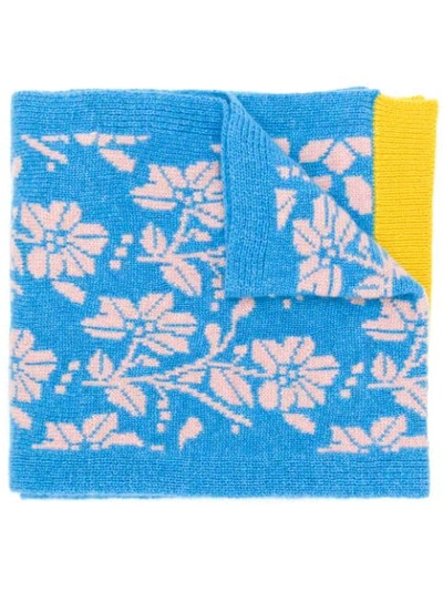 Shop Barrie New Delft Cashmere Scarf In Blue