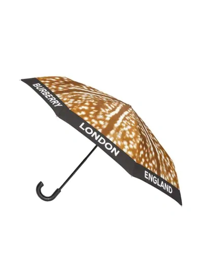 BURBERRY 鹿纹折叠雨伞 - 棕色