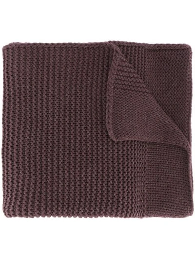 Shop Fabiana Filippi Chunky Knit Scarf - Pink