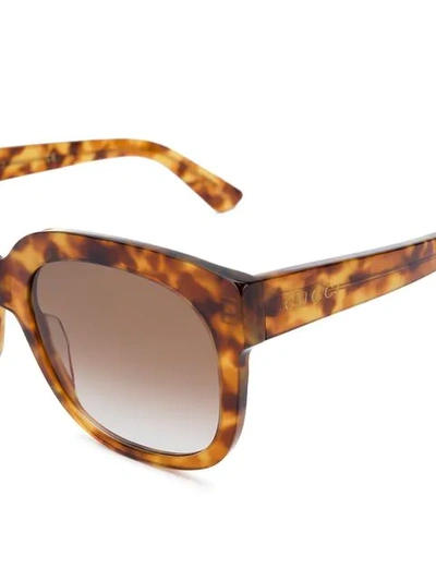 Shop Gucci Havana Square Sunglasses In Brown