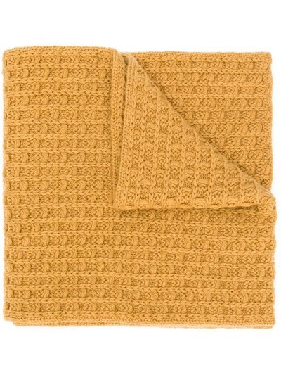 Shop Holland & Holland Cashmere Knitted Scarf In Yellow