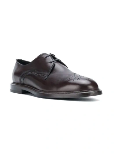 Shop Dolce & Gabbana Perforated Derby Shoes In Brown